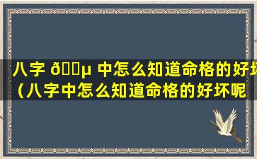 八字 🐵 中怎么知道命格的好坏（八字中怎么知道命格的好坏呢 🐴 ）